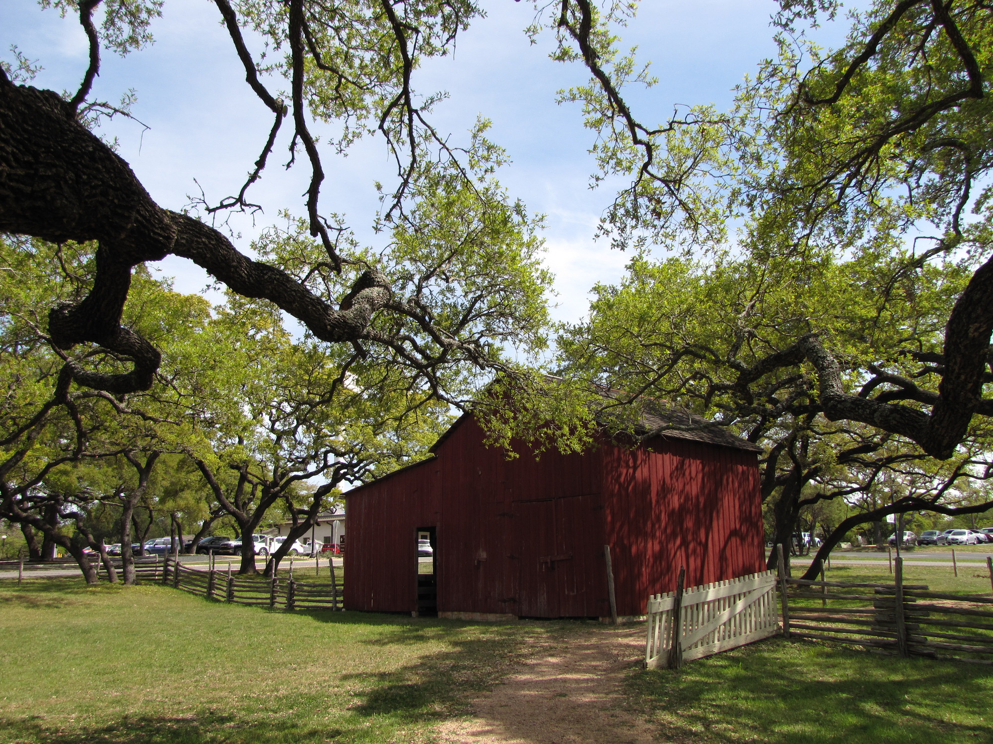 A wooden, two-story, red barn is framed by long, live oak branches.