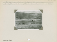hfca_1607_iva_013_10_009_2912_a. Pronghorn, American -- Sharing field with domestic stock.. Locality: Gardiner area, Yellowstone National Park. Negative #: 2912