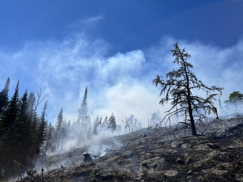Smoke rises from a burned hillside into the blue sky. All shrub vegetation and the base of the scattered trees has been burned. 