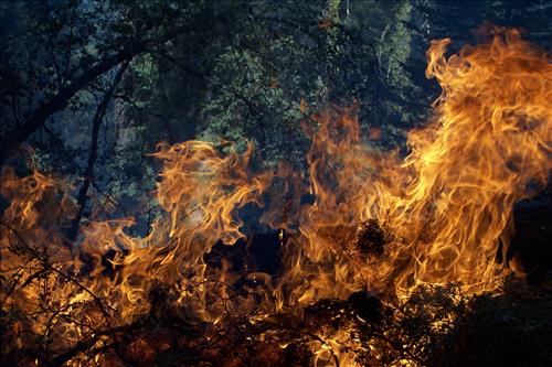Sunset prescribed burn in Grant Grove, Sequoia and Kings Canyon National Parks, fall 2002