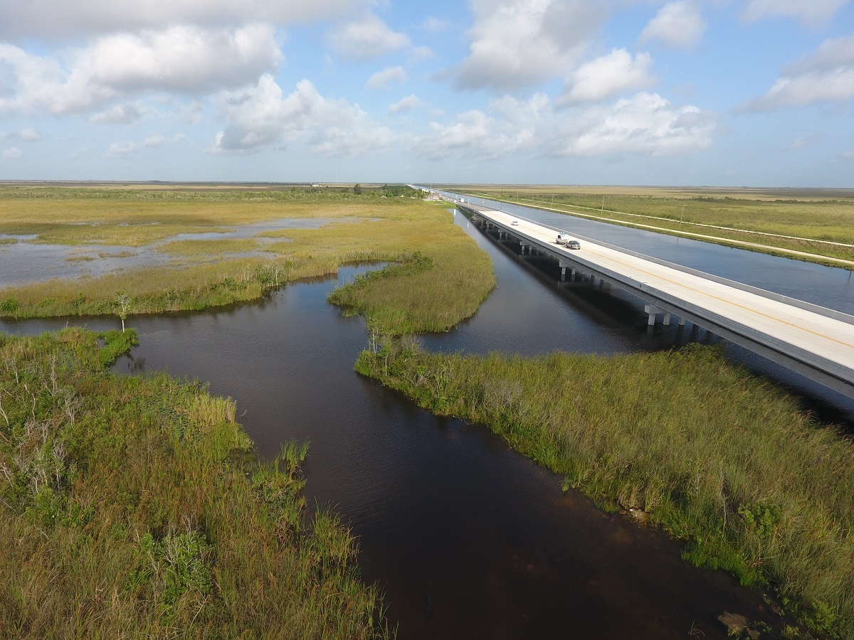 Car driving on a roadway elevated over extensive marshland