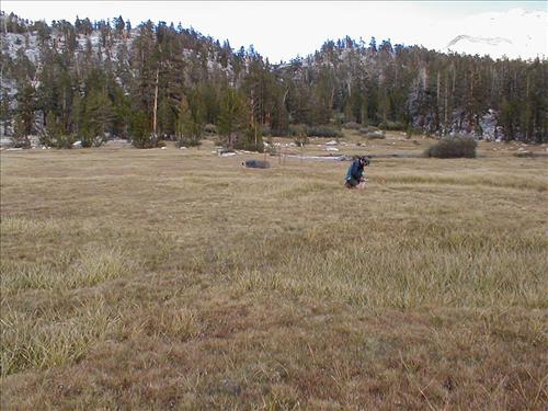 Wallace Waterfall in Sept. 2003, Sequoia and Kings Canyon National Park