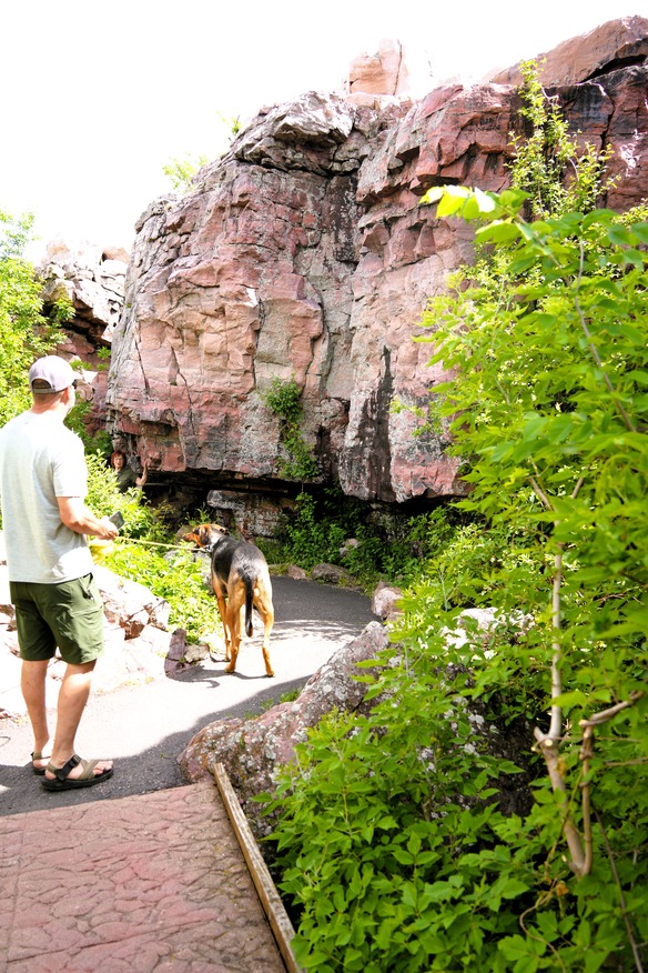 A man is standing on a paved path along the left side of the photo, and he is facing away and to the right. To his right and just left of center is a black and brown short-haired dog is walking away while on a leash the man is holding in his right hand. The path they are on goes from the lower left, angles slightly left before turning towards the right until the center line, then turns back to the left where it disappears behind some rocks and leaves. The foreground on the right is filled with leaves while the background beyond the path is a vertical rock face. 