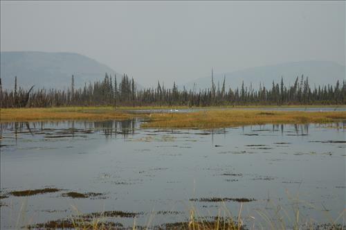 9 Water Quality Testing in Yukon-Charley Rivers National Preserve, August 2005