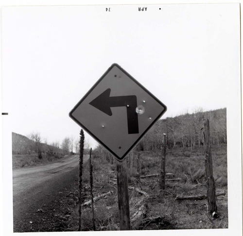 Left Turn Ahead' sign in Kolob Canyon.