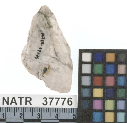 NATR   37776 -- Untyped projectile point