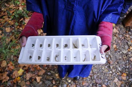 Cuyahoga Valley Environmental Education Center, Chippewa Creek Water Testing1