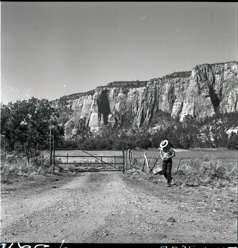 Road leading from Kolob Reservoir to Hop Valley.
