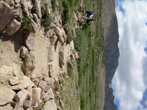 Tread, WM#,Gravel,Class III, FT,S1 LP-04