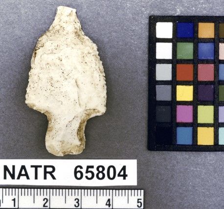 NATR   65804 -- Untyped projectile point