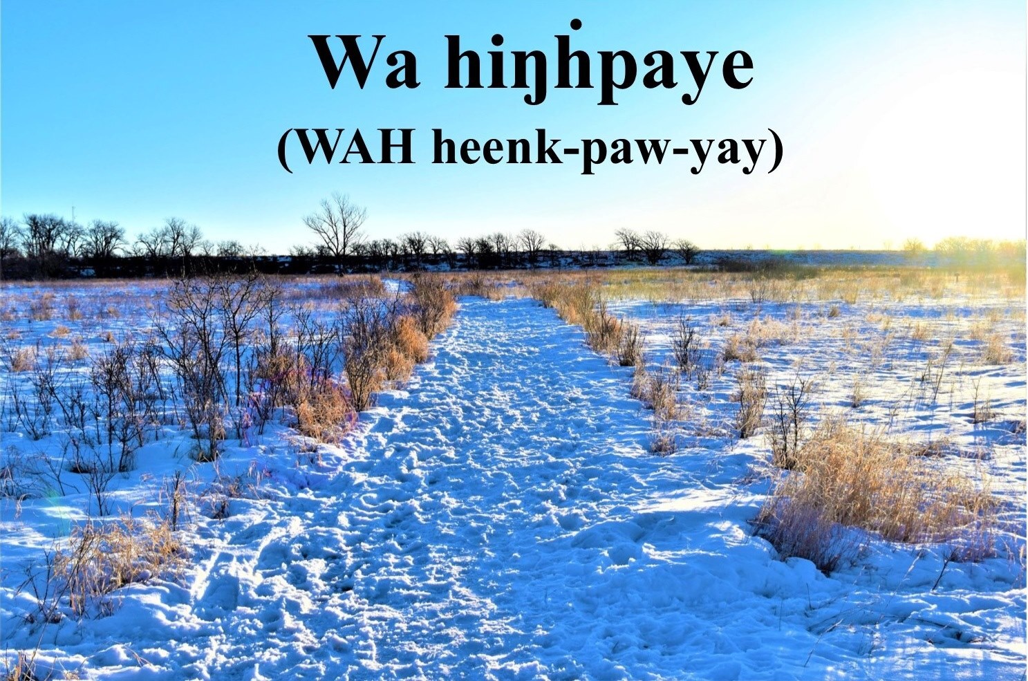 Snow-covered path through a prairie with text in the sky.