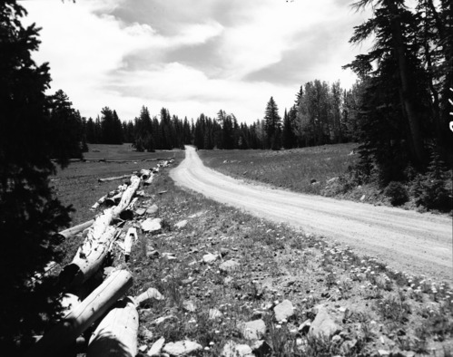 Rim road along old fence before the beginning of the 1960 construction project. Taken as a record of the project.