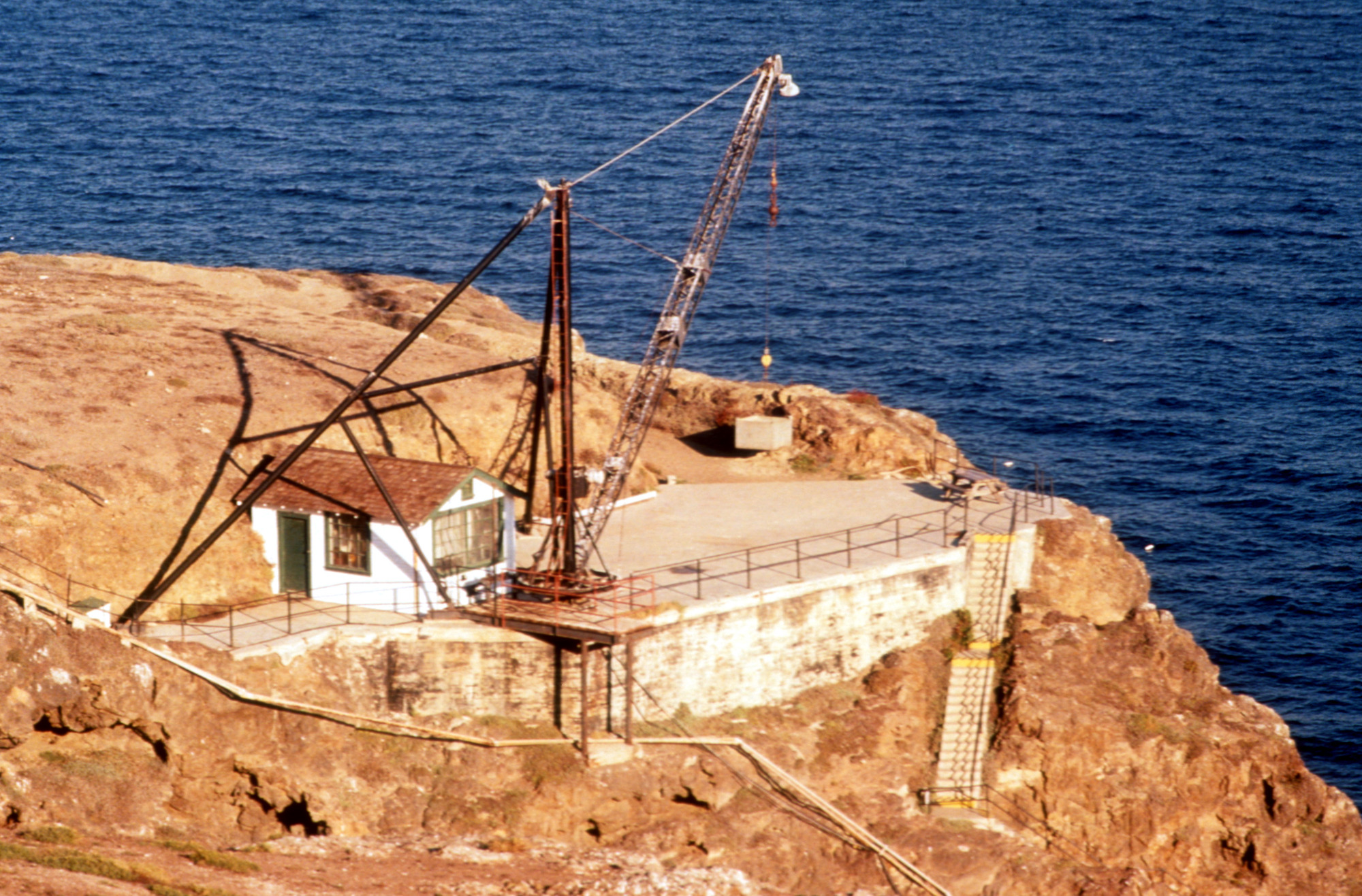 Crane at Anacapa