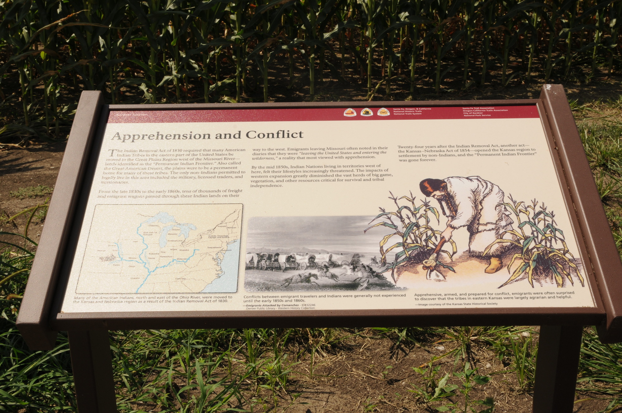 A wayside titled "Apprehension and Conflict" with text on it in a grassland.