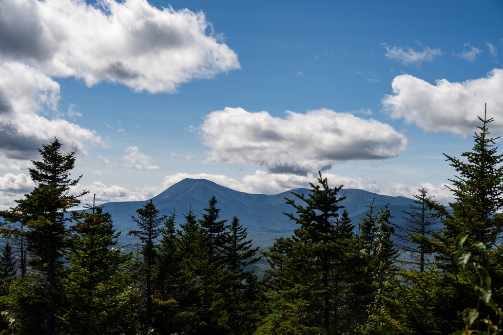 Mount Katahdin is in the distance covered in trees. The sky is blue with white puffy clouds. In the foreground are many tall pine trees. 