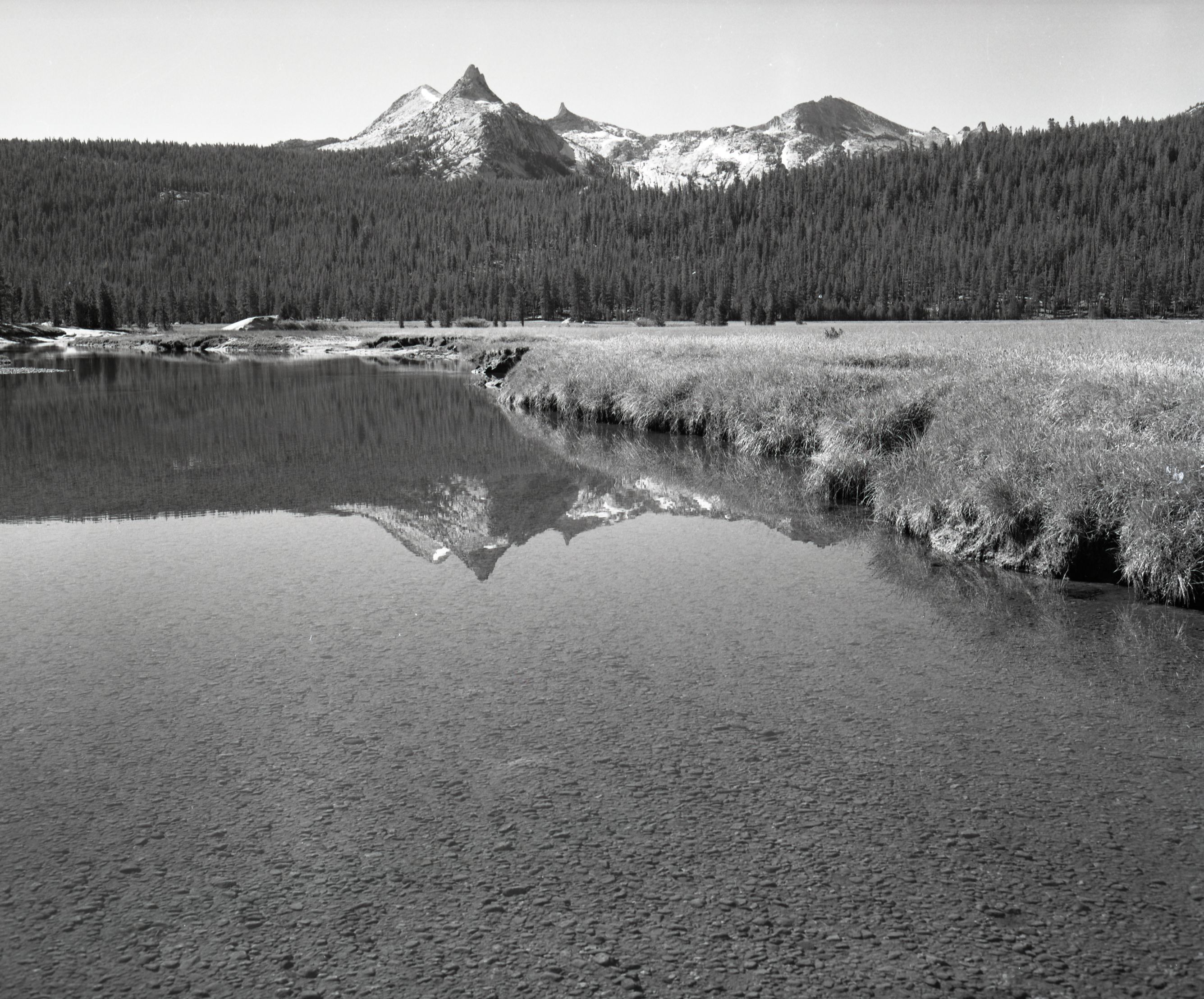 Cathedral Range from Tuolumne Meadows.