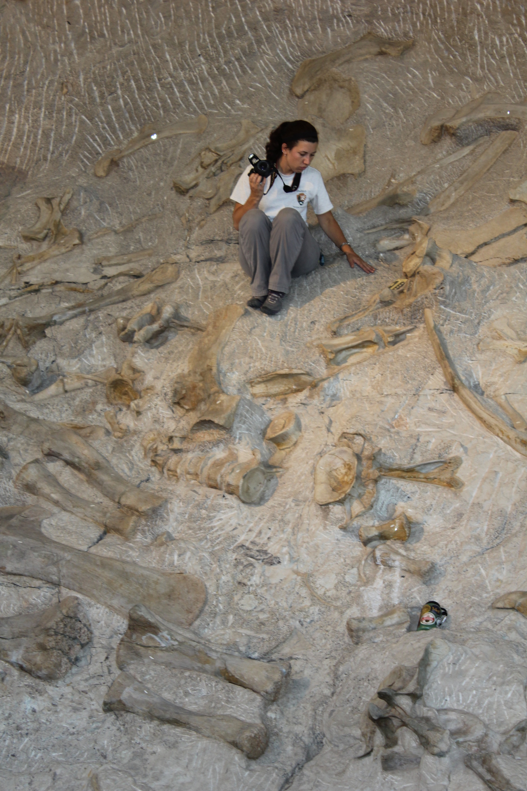 a young woman sits on a wall full of dinosaur bones while taking photos. 