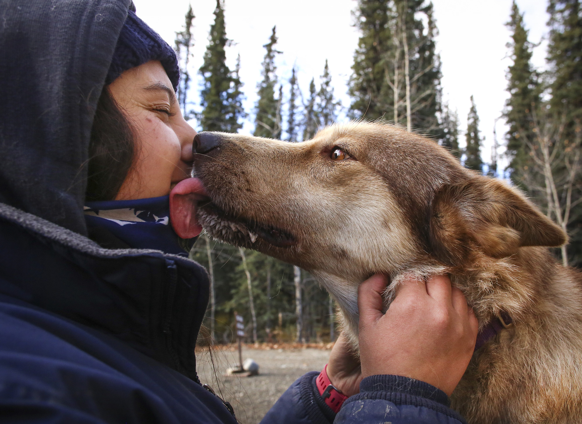 a dog licking a woman's face