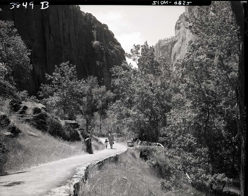View along the Gateway to the Narrows Trail.