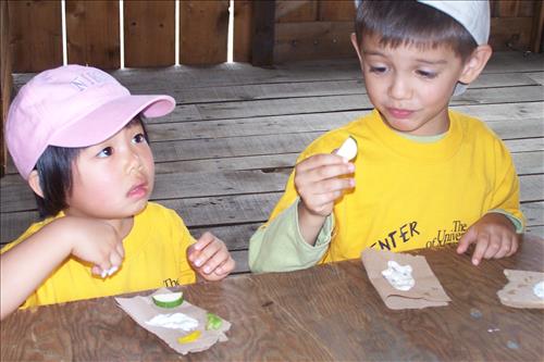 CVEEC Junior Ranger Program, Little Sprouts, Tasting Vegetables