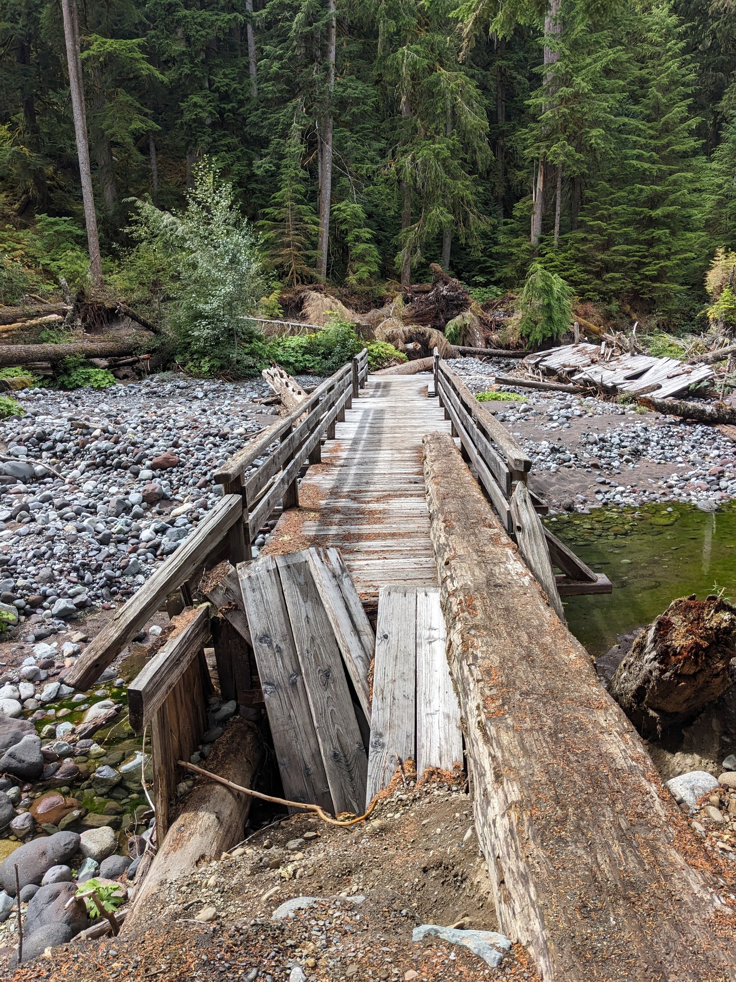 A footlog to a wooden bridge crosses an algae-filled creek and gravel creek bed.