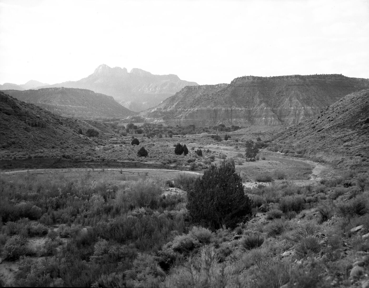 A record of habitat at Coal pits Wash.