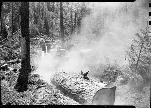 Aspen Valley logging operations.