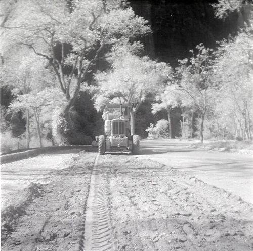 Tractor leveling road for construction near the Temple of Sinawava.