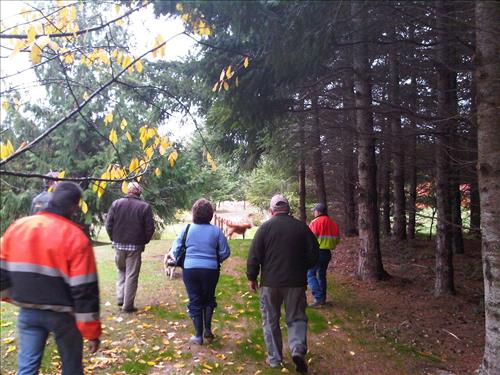 OLYM 005375 Elwha Heights Water Quality
