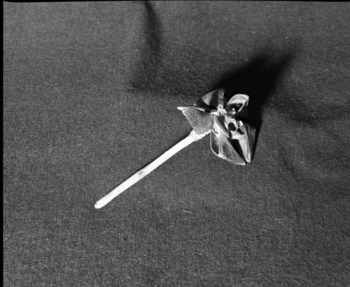 Marie Rozier Collection, Catalog No. 201. Object: Maidu deer hoof rattle. Dimensions: 6 1/2". Materials: oak wood, deer hooves, commercial leather. Collection History: Made by Craig Bates under instruction of Henry Azbill, 1969. Photographed by Michael Dixon in December 1982. Catalogued by Craig Bates and Barbara Beroza. Yosemite Collections, National Park Service.