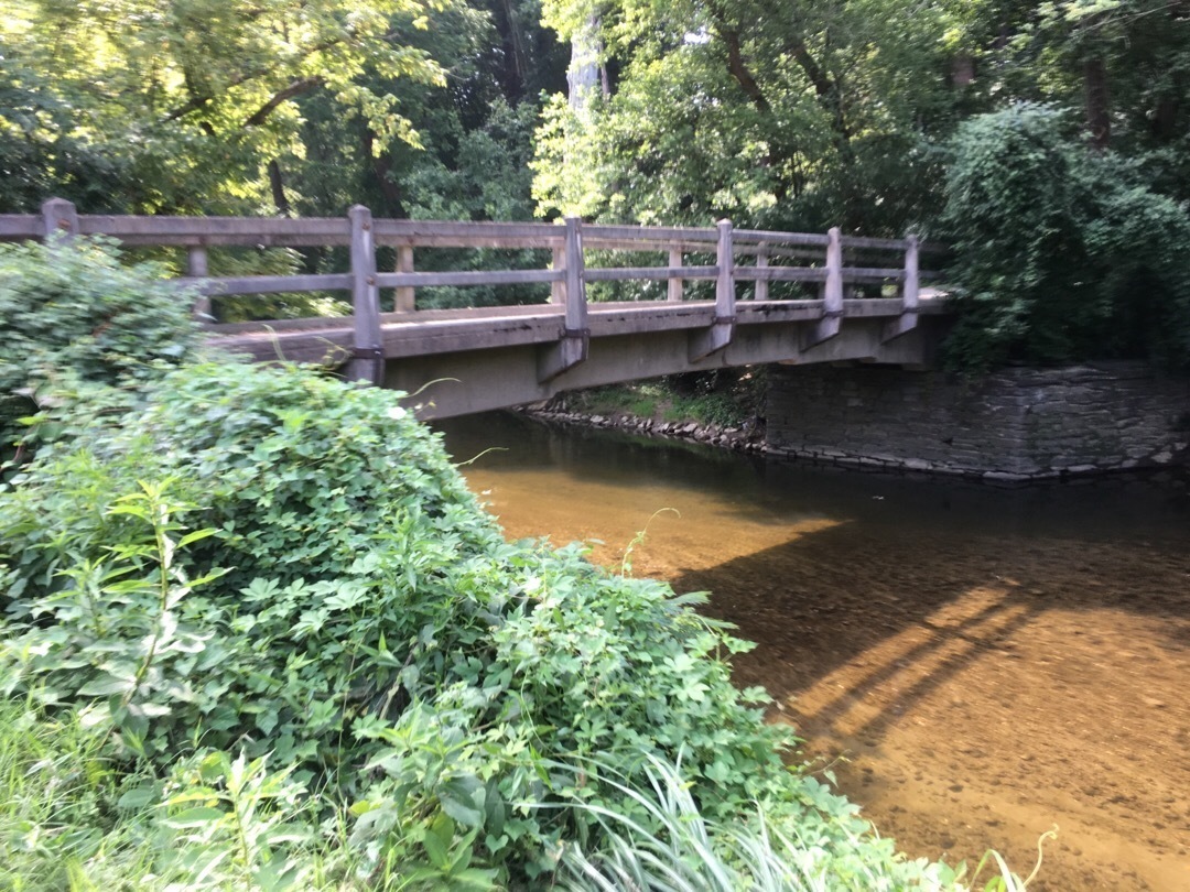 A bridge crosses over a small stream