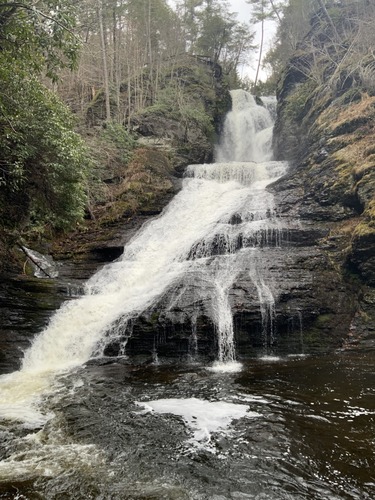 A waterfall gushes over a rock cliff with rocks and trees on either side.