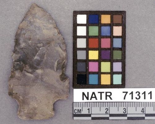 NATR   71311 -- Terminal Archaic Barbed Cluster projectile point