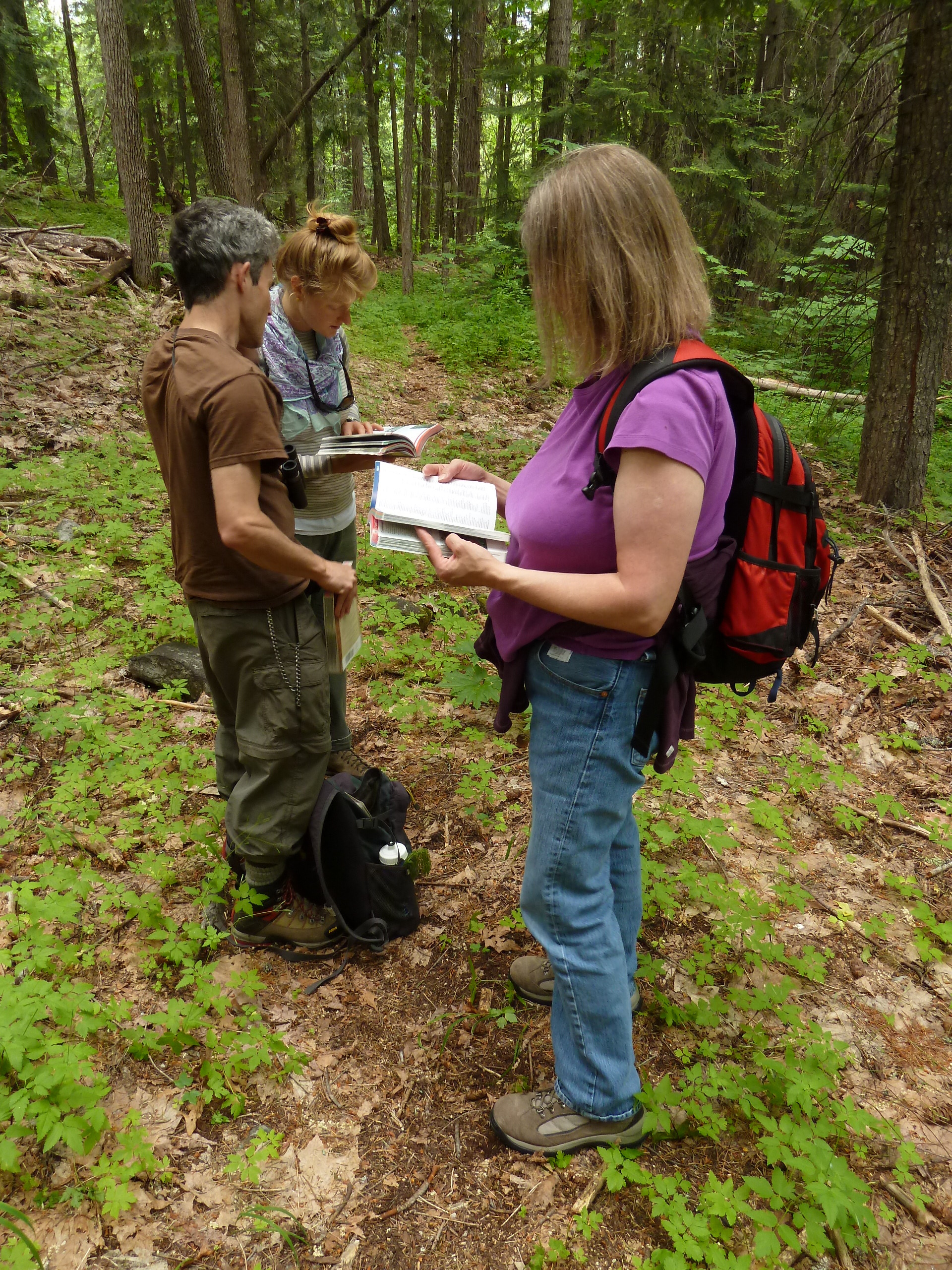 Three people on a forested trail look at ID books.