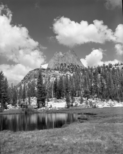 Dana Meadows area from slopes of Mt. Dana.