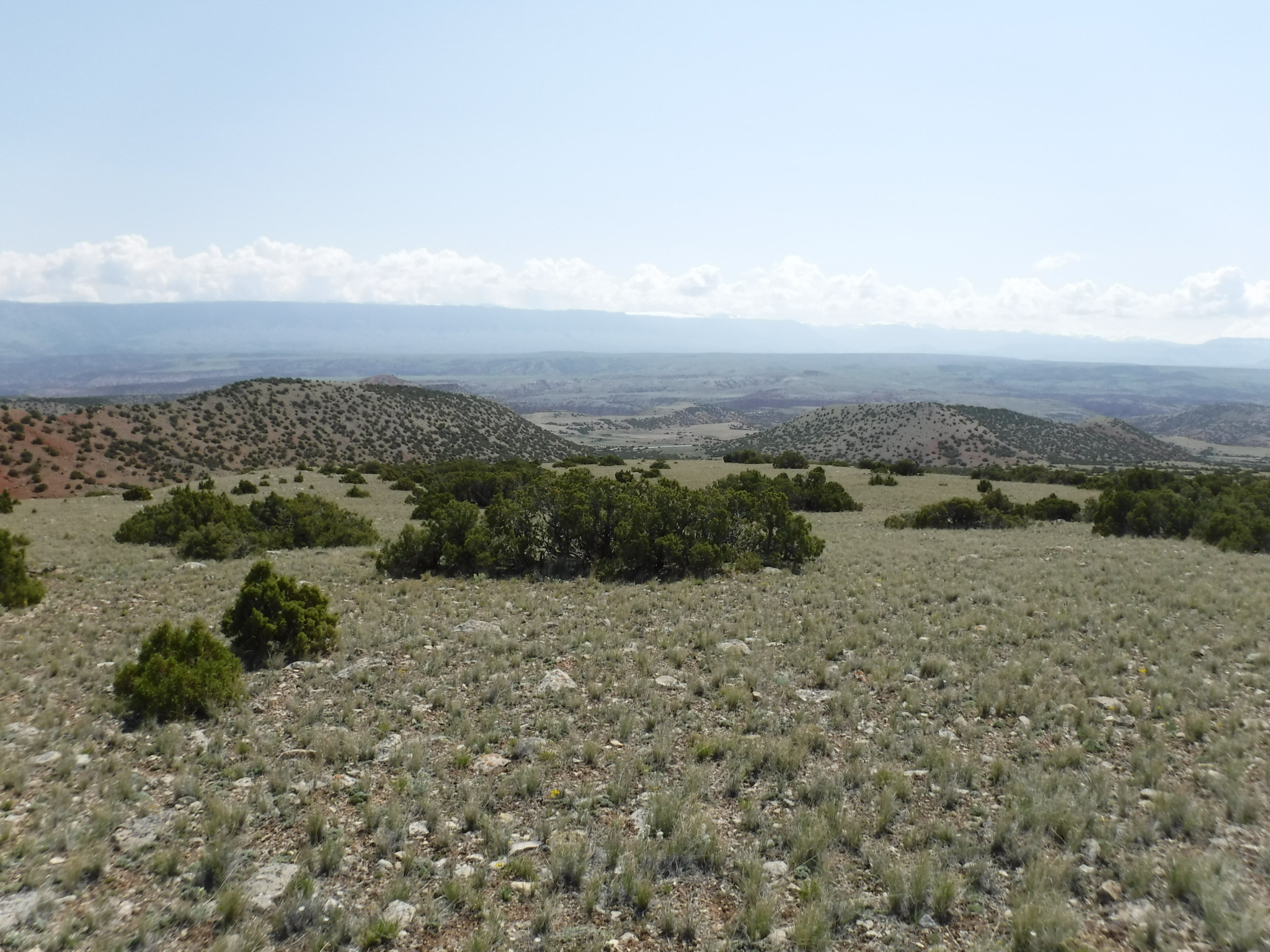Image of the vegetation and landscape at photo point in Bighorn Canyon NRA 