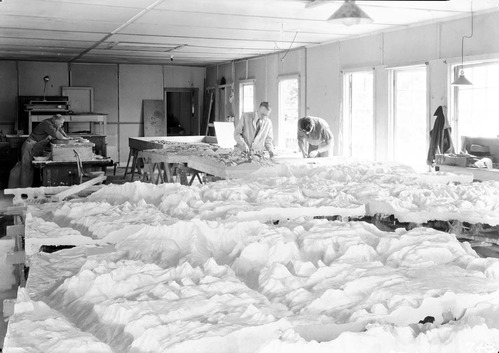 Workers at the Western Museum Laboratory (WML) fabricating the Zion relief map, with numerous plaster casts in the foreground.