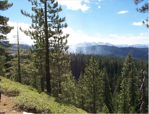 Dark Wildland Fire, July-September 1999, Yosemite National Park
