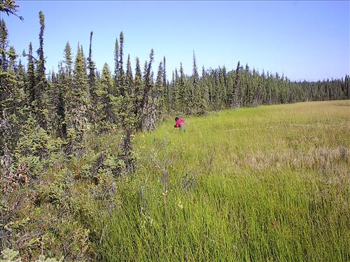 2 Yukon-Charley Rivers National Preserve Water Quality Ponds 2003