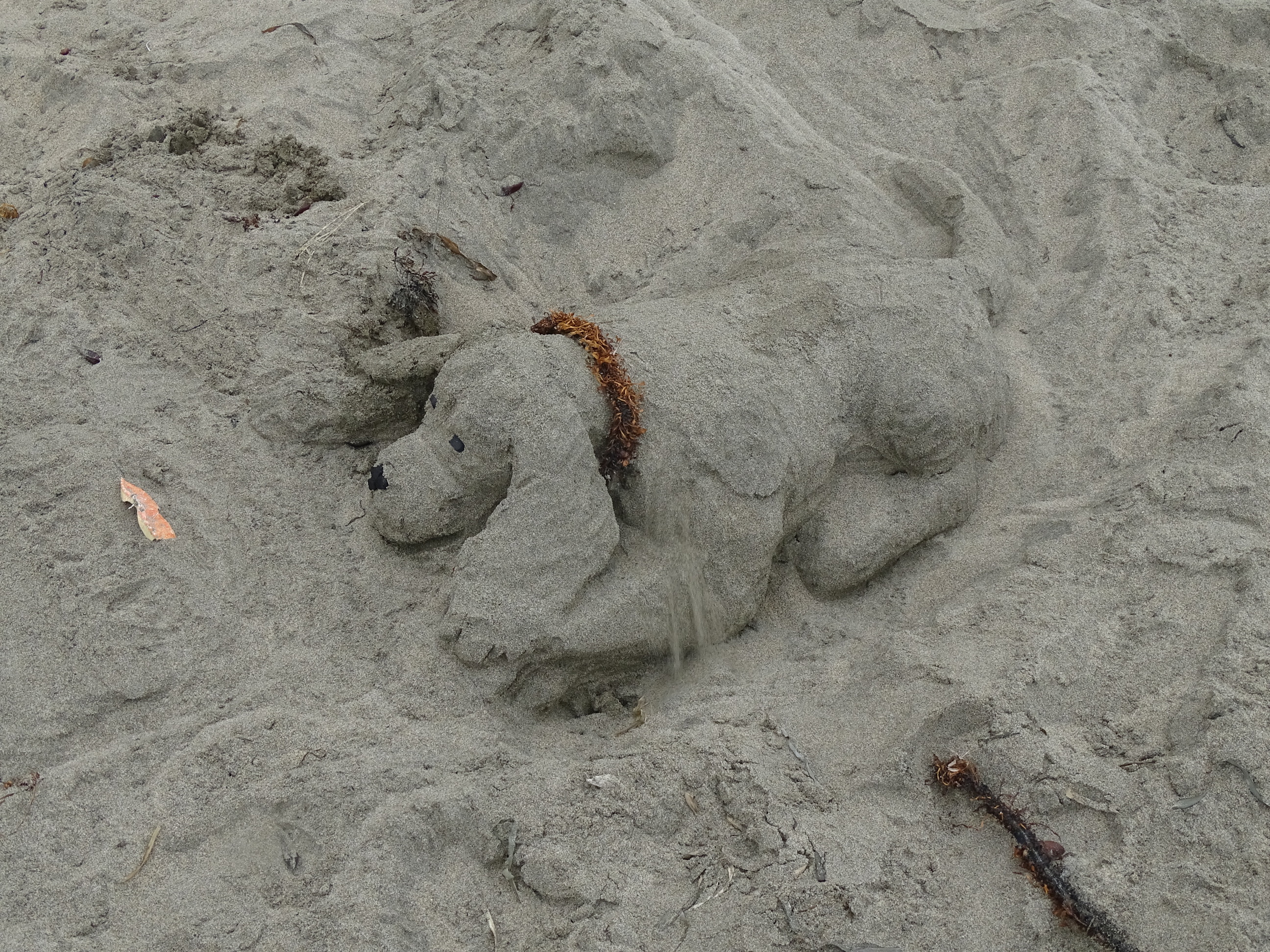 A small sand sculpture of a dog with long, floppy ears.