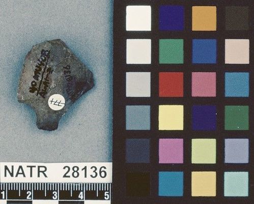 NATR   28136 -- Untyped projectile point