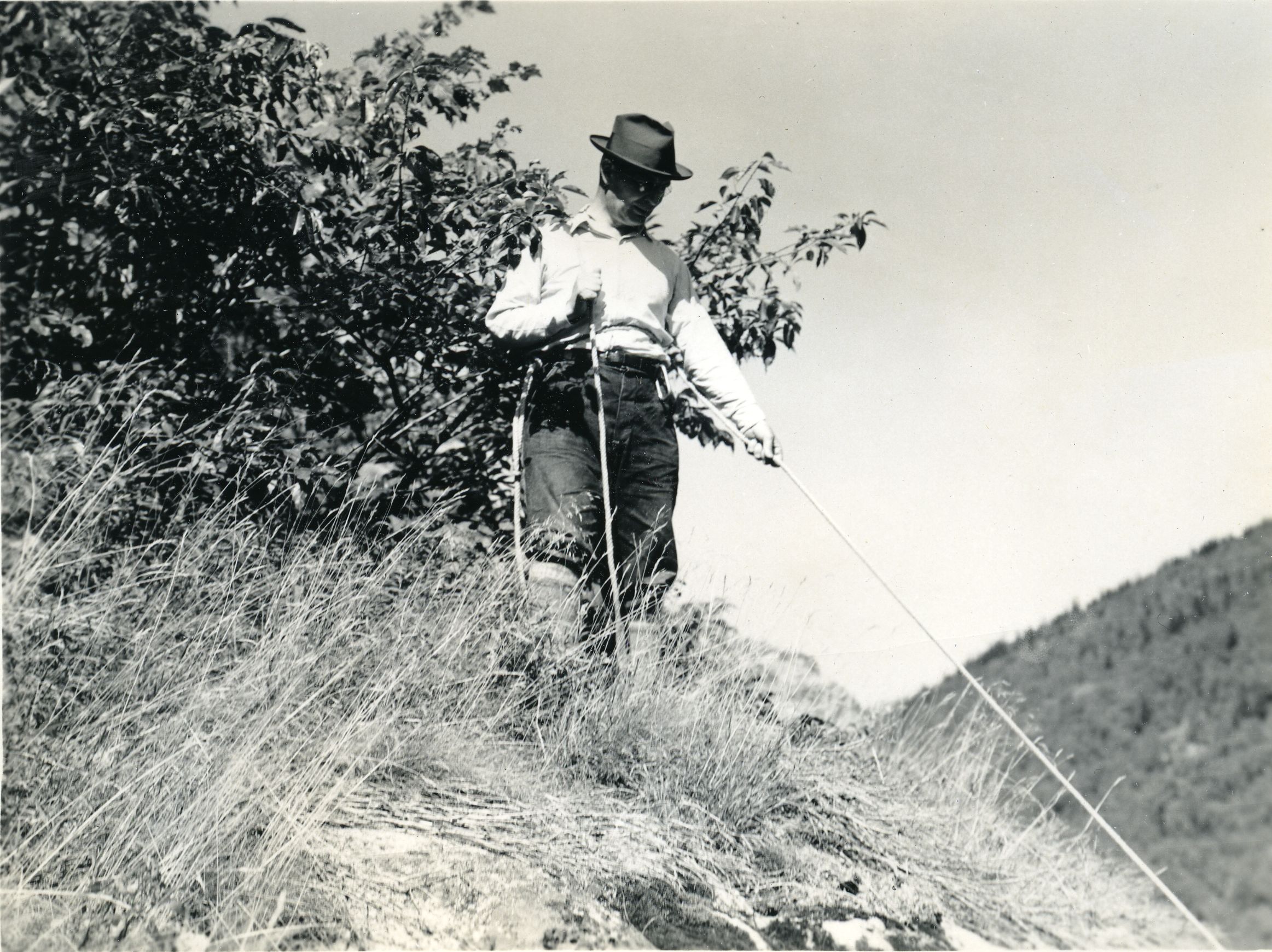 ROCK CLIMBING - AT THE SUMMIT