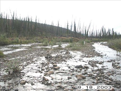 Hosford Creek Water Quality Testing, Yukon-Charley Rivers, 2003