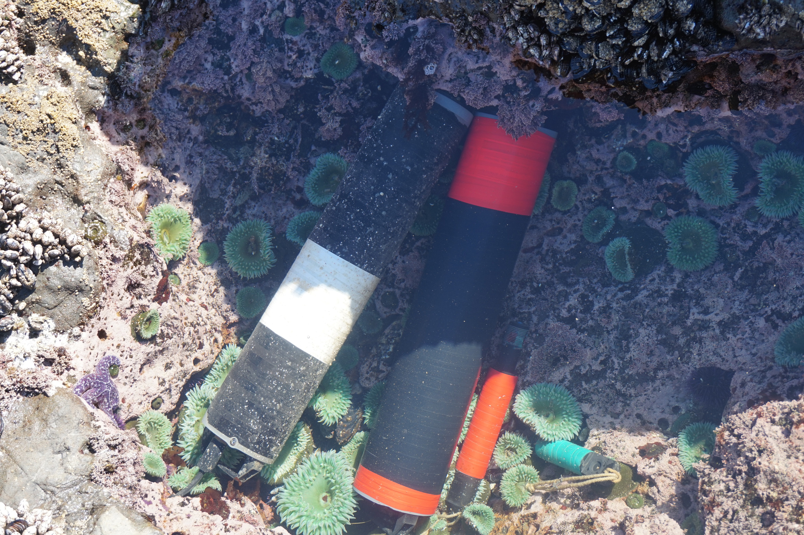 two tools submerged in water that measure ocean acidification