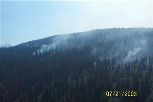Views of Trapper Fire, Glacier National Park