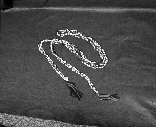 Marie Rozier Collection, Catalog No. 141. Object: Miwok olive shell rope. Dimensions: 92". Materials: Olivella shells, black thread, red and black yarn. Collection History: Made by Louise Fuentes in 1950s. Shells once the property of her sister Carmelita Ralph. Photographed by Michael Dixon in December 1982. Catalogued by Craig Bates and Barbara Beroza. Yosemite Collections, National Park Service.