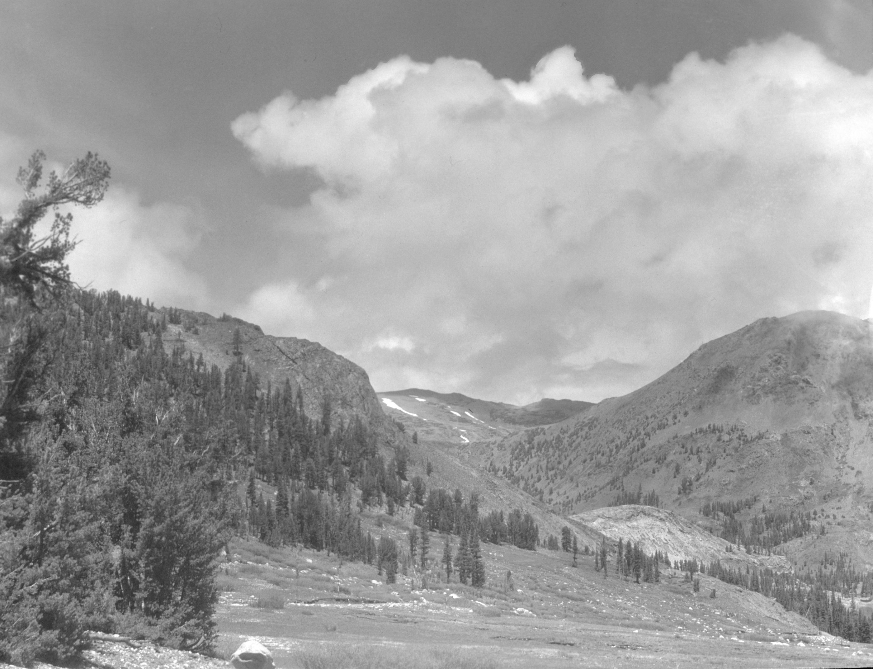 From Tioga Pass.