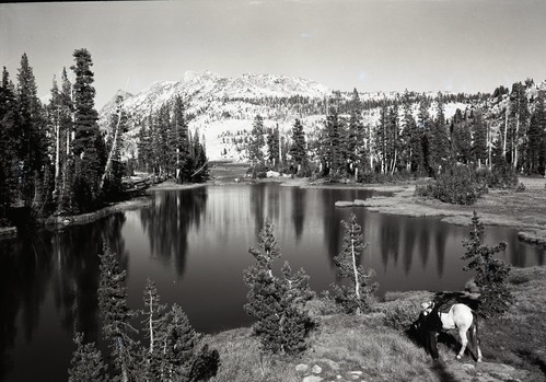 Below lake from trail.