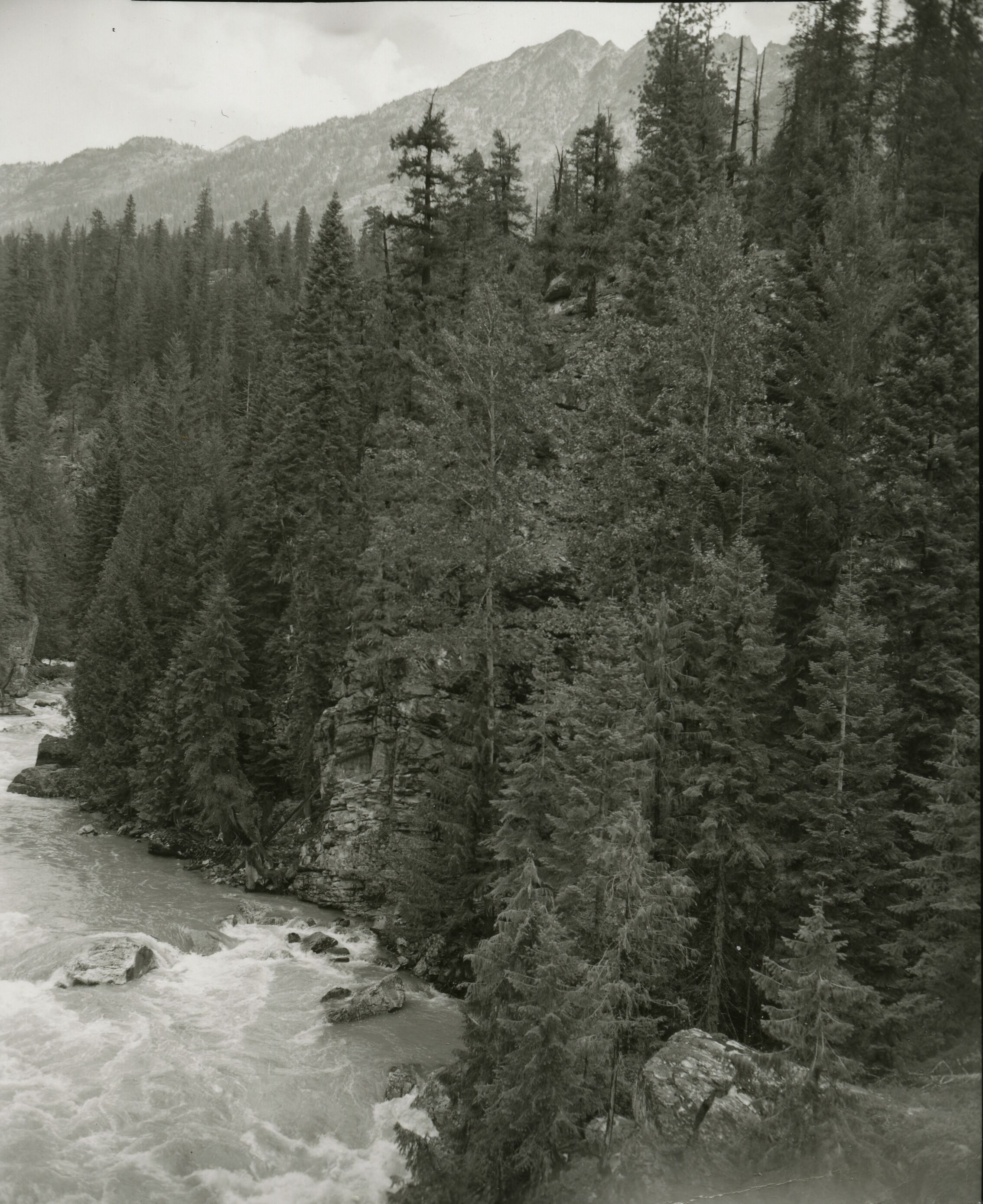 A river cutting through a dense forest. Mountain peaks in the background.