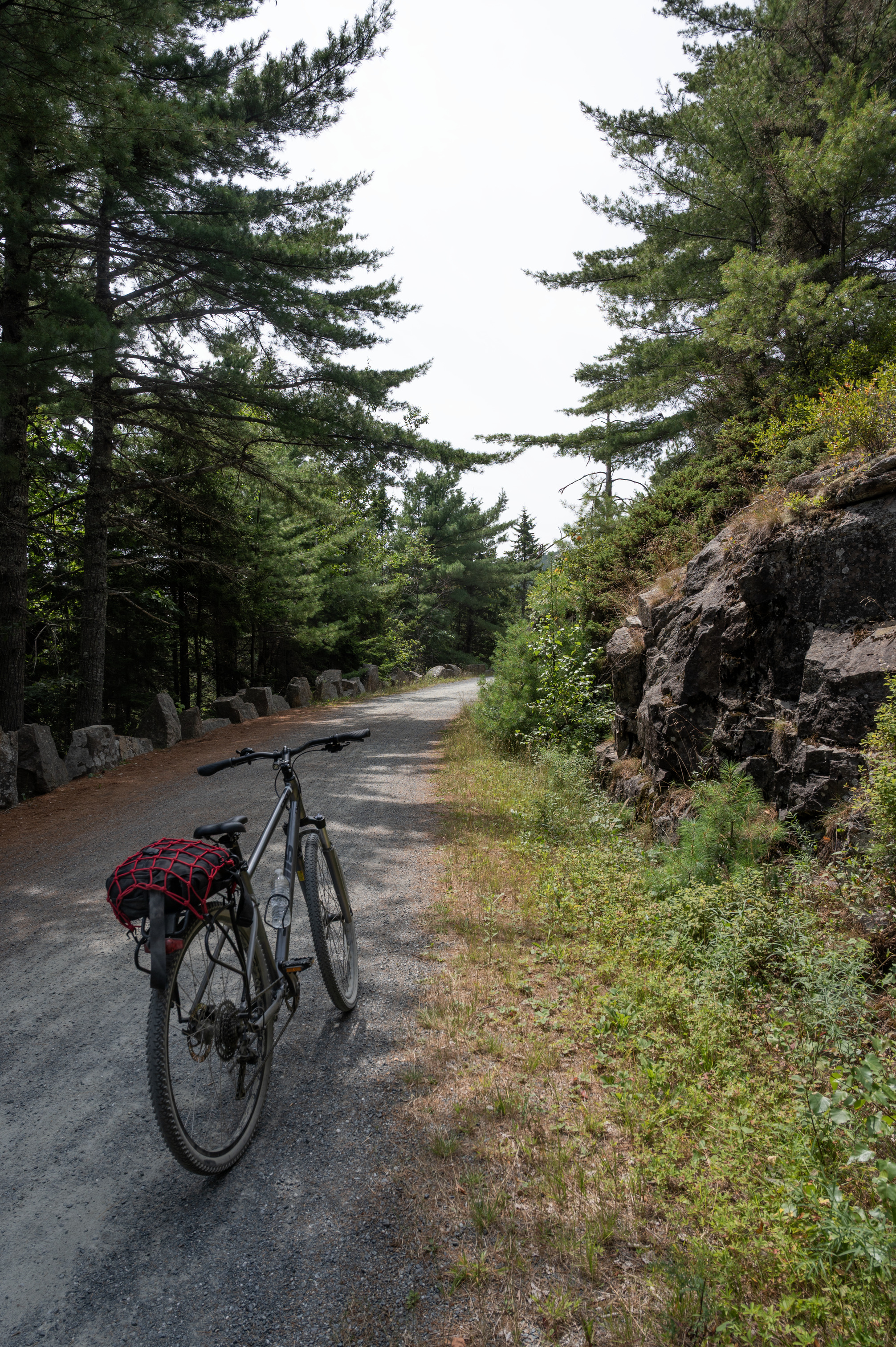A bike parked on a gravel road running along a forested mountain.